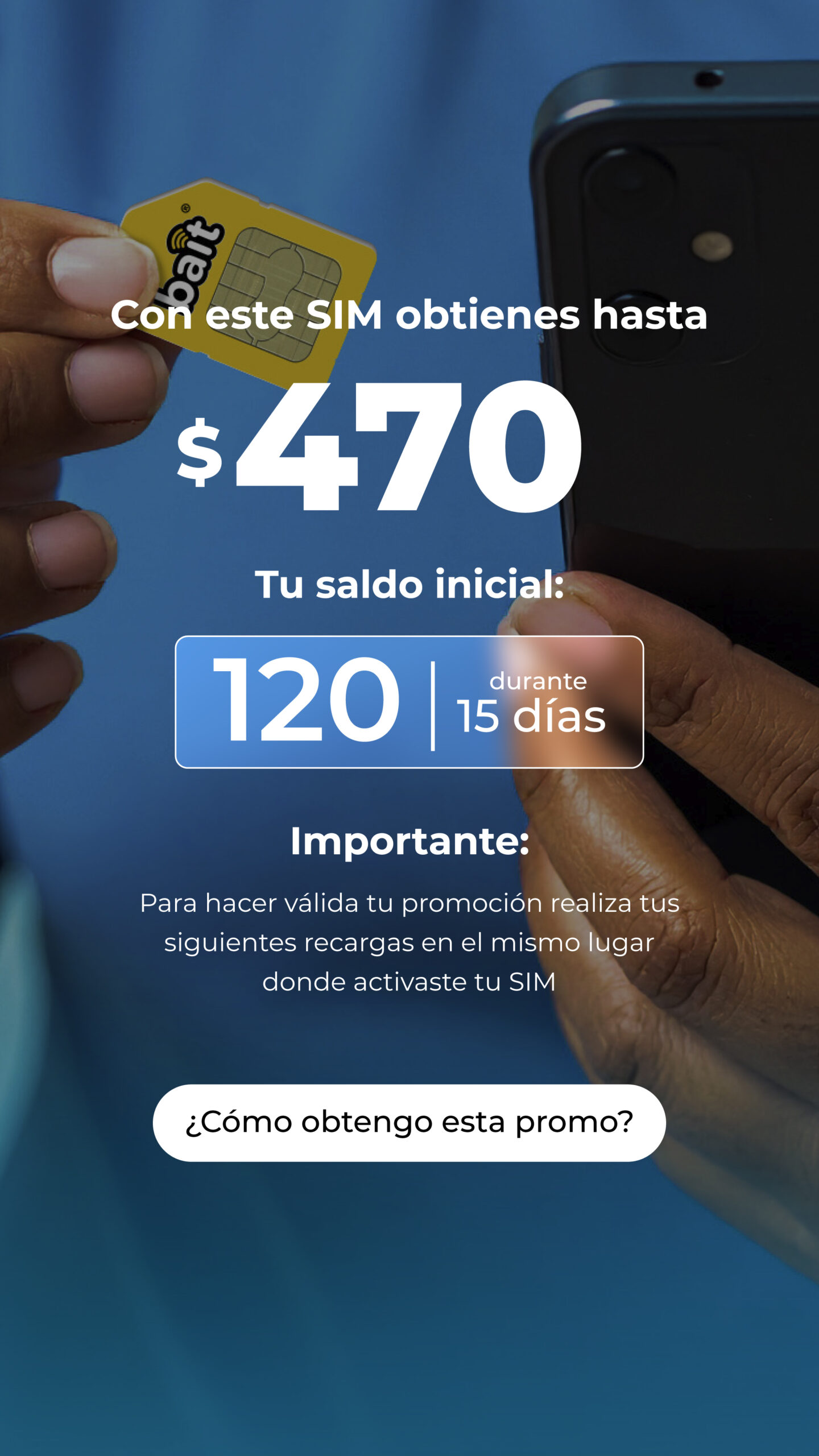 Bait línea nueva
